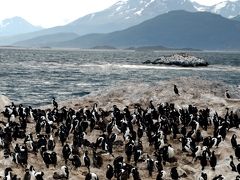 マルティアル氷河とビーグル水道　Ushuaia(１日目)−パタゴニア紀行（４） -