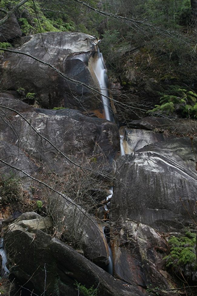 全国に５０００とも６０００とも言われる滝の中で、同じ名前の滝は結構ある。<br />多い名前の代表格は「不動の滝」だろう。「魚止めの滝」も結構あるし「白糸の滝」もかなりの数があるようだ。<br />「白糸の滝」で最も有名なのは富士山麓の「白糸の滝」だろう。<br />軽井沢の「白糸の滝」もかなり有名。<br />そして関西にも滋賀県栗東市に「白糸の滝」がある。<br />九品の滝の一つ西側の川「荒張川」の上流にある。<br /><br />舗装された林道を登っていくと「金勝山ハイキングコース」の道標がありその下に手書きで「白糸の滝」と書かれている。<br /><br />ハイキングコースをたどると、大きな２つの堰堤の間に出てくる。どちらの堰堤も大きな池をもっており、滝があるような雰囲気ではない。<br /><br />上流の堰堤を巻いて半分沈みそうな丸木橋をわたり、上流へと進む。<br /><br />しばらく歩くと瀬音が大きくなり、滝が近いようだ。<br /><br />辺りを見渡しても大きな花崗岩の岩が積み重なり、滝があるようには思えない。<br /><br />どこから滝音が聞こえるのかと注意深く辺りを見渡しながら進むと、右手上部の岩塊の間から、滝が落ちていた。<br /><br />滝下に出る道を探すが、岩が邪魔をして滝に近づけない。<br /><br />仕方なく、出来るだけ滝が見える場所を探して撮影した。<br /><br />滝の動画↓<br />http://zoome.jp/yamaskier/diary/15/<br /><br />場所はここ↓<br />http://map.yahoo.co.jp/pl?type=scroll&amp;amp;lat=34.96728198&amp;amp;lon=136.02030471&amp;amp;sc=6&amp;amp;mode=map&amp;amp;pointer=on&amp;amp;home=on&amp;amp;hlat=35.10937806&amp;amp;hlon=136.21044