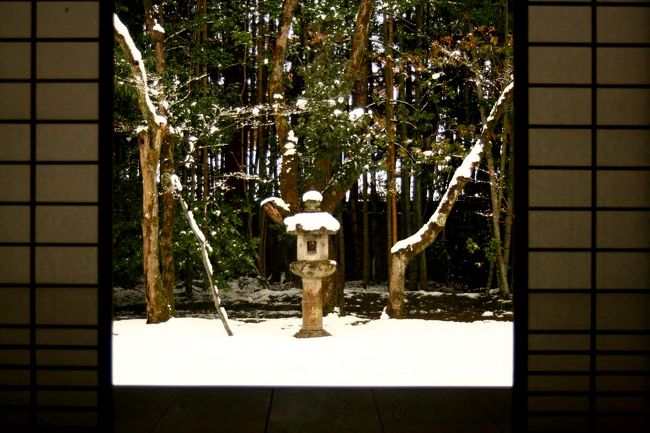 今年は都旅で「冬の妖精」に出会えそうにないので、昨年の降雪京都をアップしてます。<br />四季の高桐院を覗きつつ、どうしてもこの眼で見たいと念願叶った感動・感激の都冬の１人旅でした。<br /><br />極寒の冬都旅・想い付き巡り最終章、大徳寺塔頭「高桐院」へと歩を進めました。<br />早朝からの京都見物で念願の大原を後にして、まだまだ廻りたい・出来るならもう一泊の願いも夢の彼方で、時間的都合のラストワンセットはバスに乗車後も泉涌寺・雲龍院にするかを迷い続けました。<br /><br />泣く泣く大徳寺・高桐院と決めた後は、普段車中で居眠りすらしない私が、東山早朝ウォーキング・大原行軍の為か、車中はさすがに「夢」の中でした。<br />　大徳寺到着した時は降雪も弱まり、降り積もった屋根雪も、冬の終わりを告げる涙の如く、いつしか流れ落ちていました。<br />　その光景に、全てが未だ冬に染まる大原との景色と重ねて、まったく違う情景に、これも、又、京都の冬の顔と感動・感激しながら境内へと歩を進めていきました。<br />しかしです、神様の悪戯でしょうかご褒美でしょうか・・・<br />「訳の判らん」雪の降り止む理由付けしつつ、時間的な都合から拝観は「高桐院」と決めていたので、その前に覗ける塔頭の玄関先等、冬の顔をカメラに収めようと歩き廻り、念願の「高桐院」に近付くにつれて、あろう事か舞い降りてきたんですよ。<br />冬の妖精・雪が・・・(これも都旅雨男の底力!!)　ニヤリ(^_-)-☆　<br /><br />それも、カメラ構えるのも躊躇する程にいっぱい降りだして、廻りの拝観者は急ぎ足で帰路へ駆け出すほどで、その光景に、又々ニヤリ。<br />仏・細川家・ガラシャ様そして雨を司る天龍様に感謝でしたぁ〜<br />みんながフォトに納める「高桐院」参道では、やはり竹細工の手すりに降り積もった雪は、大部分が削ぎ落とされ、午後拝観の悲しさと想いつつも、降雪の中誰も居ないその独特な美しさに感動でした。<br />　歩を進め帰路に着く拝観者に、混み具合を尋ね空いているとのお言葉に、答えてくれた方の顔は菩薩に見えましたぁ〜<br />　そんな事で、珍しく空いている冬の妖精乱舞する「高桐院冬の顔」を拝顔してきました。<br />　秋・紅葉の時期拝観した時には、ギャラリーが多くて、ムサイ男一人では恥ずかしくていただく事ができなかった「御抹茶」も、念願成就でいただきながらのニコニコ拝観でしたぁ〜（*^_^*）<br />　降雪京都旅を終え、帰路の新幹線車中で１人、「生きててよかったぁ〜見せてくれてありがとう」と京都冬の顔に感謝でした。<br />　今回旅行記を作成するにあたり、４トラに巡り遭わなければ見なかったであろう情景であろうと、４トラにも感謝してます。　　　　　　　　　　　　　　　　　　　　　　　<br />降雪都旅・完<br />追筆<br />Upする2009年冬・冬の妖精に巡り逢えない今、この時見た都の冬顔がこの先御宝にならない事を願うばかりです。<br />来年はよろしくおねがいします。<br /><br /><br />