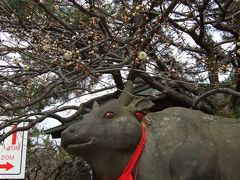 2009.02京都（1日目-?北野天満宮）