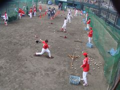 プロ野球キャンプ見学（広島CARP)