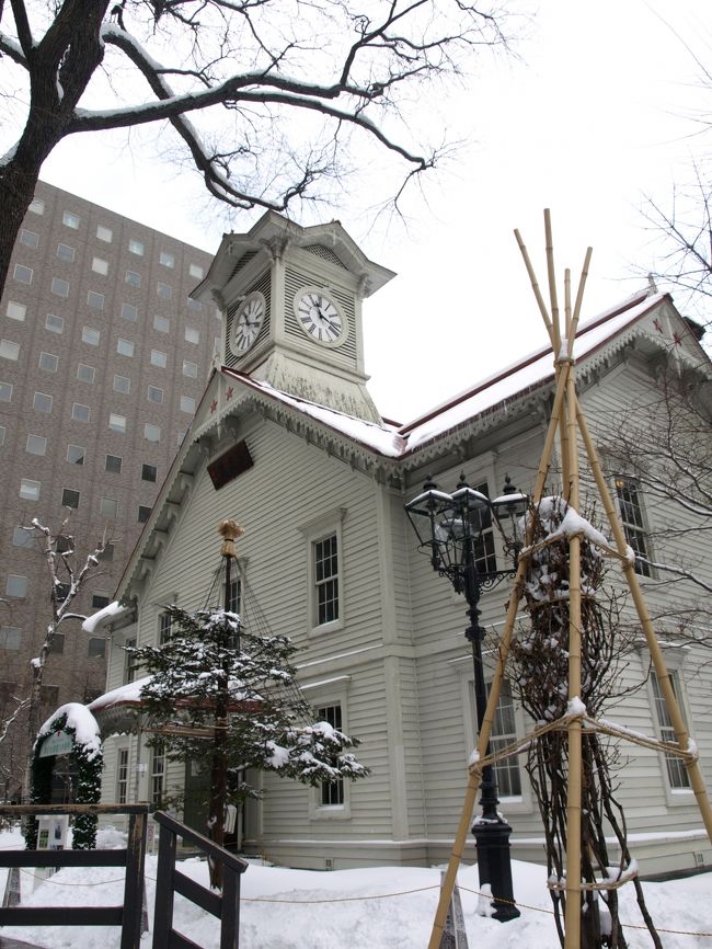 初、札幌の雪まつりへ。<br /><br />1泊2日の短期間、札幌を楽しんできました。<br />といっても、本当に短い時間＆天気も…<br /><br />雪降る中、雪まつりの見学。<br />すべらないよう気をつけながら<br />たくさんの人の波にのって、見てきました！