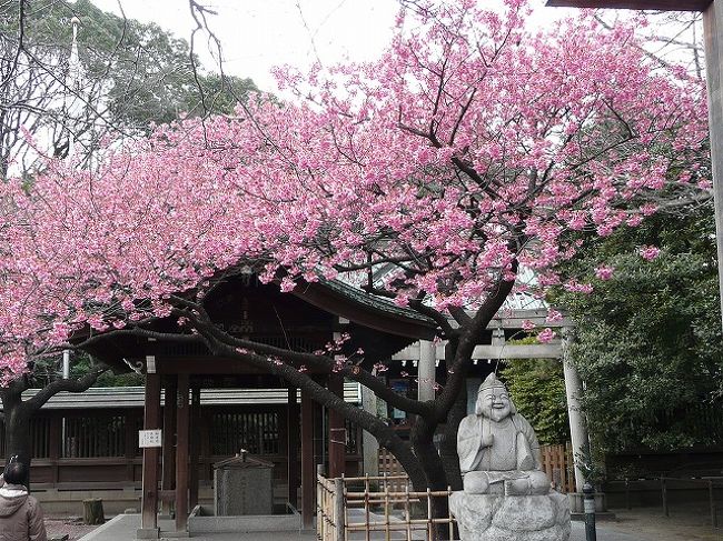 大船では綺麗な桜見れたので大満足<br /><br />今日はついてるというのでもうひとつ行ってみるかと<br /><br />品川で降りて京急乗換えで荏原神社へ<br /><br />これも大正解<br /><br />少し遅い気もしたがメジロ君もばっちり撮れました<br />