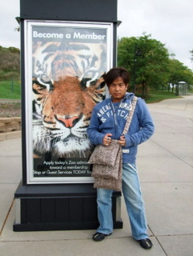 念願のミネソタ動物園。<br /><br />アメリカ旅行2008・４部構成の第４部。最終回。<br /><br />随分前にもらった一枚のポストカード。<br />その場所に行き、想像を超える素晴らしい動物園でした！ <br /><br />旅行記は↓ <br />■http://idolhappiness.gozaru.jp/travel/usa2008/2008_usa_top.html