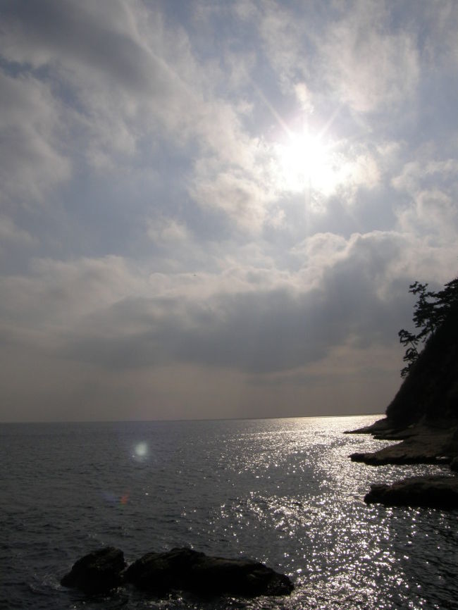 鎌倉へ<br /><br />急に思い立ち、わけもなく、<br />一目さんに、行ってしまいました。<br />もしかして、自分の祖先は御家人?<br />そ、そう言えば、母の祖先は佐々木高綱だとか、<br />嘘っぽい言い伝えを聞いたこともあるけど。<br />なんか関係あるのかな。<br /><br />ということで、地図もガイドブックも用意せず、<br />カメラひとつで、勢いのままに。8時間、歩き続けました。。。<br /><br />今回は写真はたくさん、言葉は少なくいきます。<br />理由は。。。<br />歩きすぎて、疲れて、書く気力なし〜!<br /><br />と言うことで、もし、写真を見て、<br />興味が湧いてきた場所があったら、<br />ご自身で調べて行ってみてください。<br /><br />今回は前日に「鎌倉ぶらぶら」というサイトを参考にしました。<br />http://www.kamakura-burabura.com/<br /><br />行きたい場所をリストアップして、<br />メモをポケットに入れ、なんとか回れました。<br /><br />終盤は藤沢市江ノ島のことも含んでいますが、<br />ご了承ください。<br /><br />北鎌倉<br /> 円覚寺:300円<br /> 東慶寺:100円<br /> 浄智寺:200円<br /> 建長寺:300円<br /><br /> 紫いもソフトクリーム:295円<br /><br />天園ハイキングコース<br />頼朝の墓<br />鶴岡八幡宮<br /><br /> 昼食@穴子ちらし 小町<br /> 穴子ちらし:1100円<br /> ビール大瓶: 600円<br /><br />由比ヶ浜<br />稲村ケ崎<br /><br />江の島<br /> 弁財天:150円<br /><br /> 江の島ビール:630円<br /> いか焼き :300円