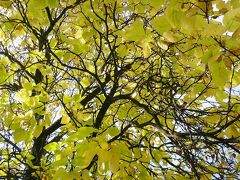 モロッコぐるり４