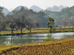 雲南省南部一人旅(2008年3回目)　その4　里達鎮訪問後八宝鎮へ