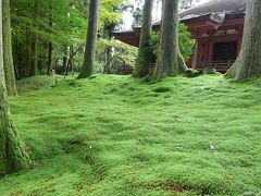 延暦寺西塔「行くか、大津へ！比叡山延暦寺の旅 その３」