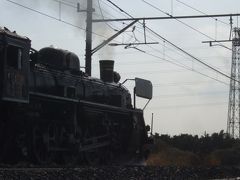 09年02月14日（土）、C57形蒸気機関車（貴婦人）が内房線を走る - 「SL春さきどり号」