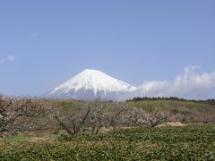ぐるっと富士山麓1周FEB