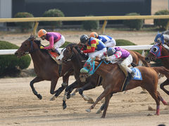 佐賀競馬場