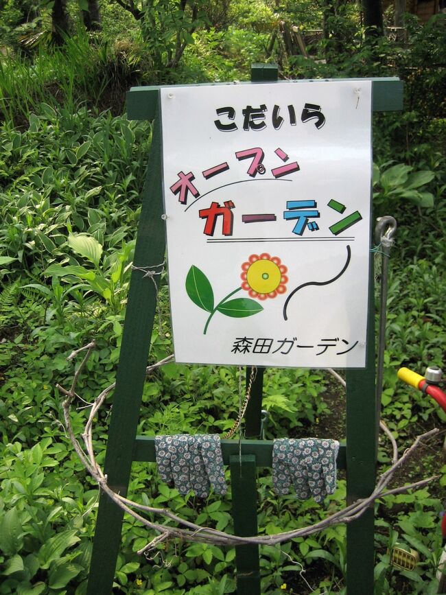 Japan　小平グリーンロード　玉川上水①オープン・ガーデン　～ミツバチばあやの冒険～