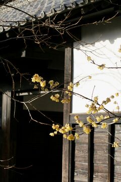 2009早春、東山動植物園(4/8)：合掌造、武家屋敷門、重要文化財の温室