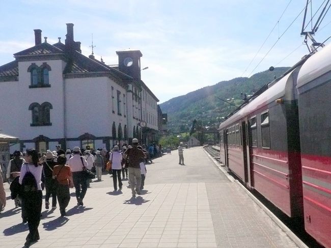 フロム鉄道の終点ミュルダールで、待っていた赤褐色のベルゲン急行に乗り換えます。ベルゲン急行はオスロ〜ベルゲン間471.2kmを7時間前後で結ぶ、ノルウエー鉄道の花形列車。ミュルダールからオスローへは東に、ベルゲンには西に向う。我々は列車は西に向かい、ベルゲン途中のヴォスまで約40分の旅。まだら模様の残雪の帽子の山、滝の筋、流れる小川。富士山そっくりの山もある。綺麗だがフロム鉄道を満喫した頭は、反応が鈍くなっている。ついウトウトしている間に、列車はヴォスに近づいている。遠目にヴァングス湖が見え、川沿いの、綺麗な町が見えてくるとヴォスに到着だ。ここで待っていたウエンカの運転するバスで今夜の宿ソールストランへ。その途上、景色を見飽きた我々の表情を察してか、ウエンカが持参の観光ビデオ「NORWAY」をバスのビデオスクリーンで流してくれた。日本語のスーパーもあり、なかなか興味深いが、眠くもある。ウエンカの後隣に座っている私の様子を見越してか、バスを降りる際、ウエンカがこのビデオをプレゼントしてくれると言う。ごめんなさいウエンカ、そして有難うウエンカ!日本に帰ってゆっくり見ます。ソールストランでの夕食は、図らずも参加者最長老の誕生祝いとなった。その席で最長老氏が「箱根の山」を歌い、皆で斉唱した。その後私がグリークのペールギュント組曲「ソルヴェイグの歌」を歌う羽目になった。理由は今朝のバスの中でのペールギュント組曲のBGMを聞いている内に、「ソルヴェイグの歌」が流れ、窓からの景観に飲まれて、思わず「あっ!この歌うたえる」と口走ってしまった事に因る。ソグネフィヨルド遊覧旅行マップhttp://www.geocities.jp/tshinyhp/hokuou/hokuoumap/fijordenland/sognehjord/flamesognehjordmap.html