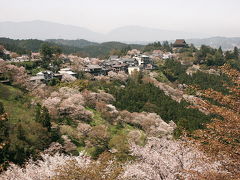 奈良県　吉野郡　一目千本、吉野山の桜