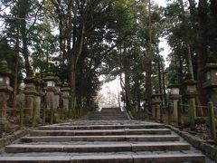 春を感じる奈良の都～奈良公園２