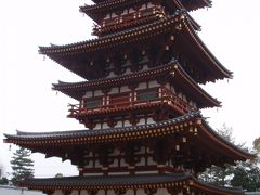 春を感じる奈良の都～西大寺・西の京