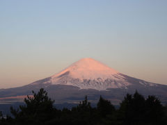 富士山を眺めながら?～御殿場市内～