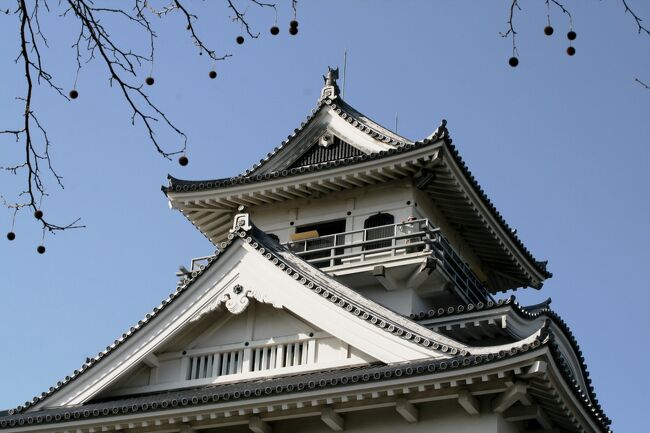 桜の名所としても有名な琵琶湖東岸の長浜城です。早春に訪れました。昨年から始めた、お城巡りです。