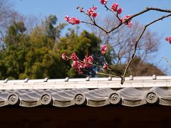 春を求めて鎌倉へ　東慶寺編ー２