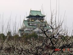 大阪府　大阪市　春を告げる、大阪城の梅と桜