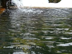 「 広田鉱泉くつろぎの宿　奥の湯  湯 元 館 」 の 旅 ＜ 新潟県柏崎市 ＞