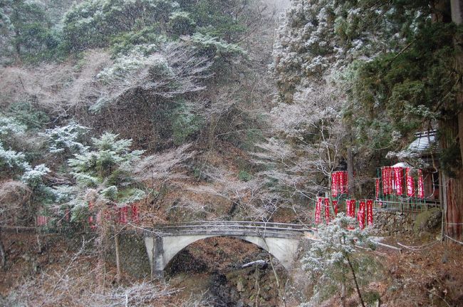 １月の寒い中、初詣も兼ねて会社の仲間（かめさん会）で大山詣をしてきた。生憎の天気で雪まで降り苦労したが、久しぶりの大山を楽しむ事が出来た。