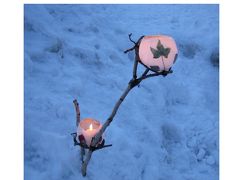 冬の北海道　小樽「雪あかりの路」