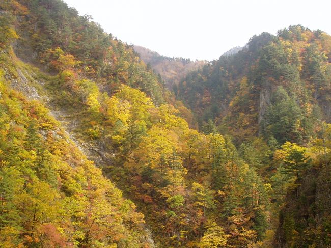 山中温泉と白山スーパー林道の画像です。<br />紅葉シーズンでとても綺麗でした。