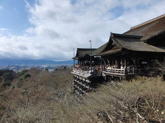 京都（'09初詣）