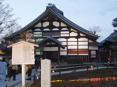 京都府　京都の桜　ライトアップされた高台寺の色鮮やかな夜景