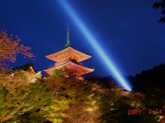 京都府　京都の春　清水寺の桜と夜景