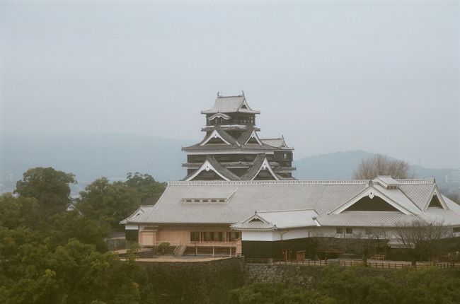 なんか天気が良くなって暑いくらいに。<br />さあ、熊本城に登城です。