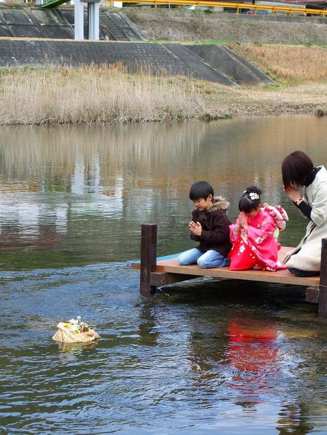 小瀬川のひな流しは江戸中期の起こりとされ、1957地元住民が複活させたそうです。<br />木野地区の会場には朝早くから、わらで桟俵（さんだわら）手造りの・男びな・女びなをのせ、桃や菜の花で飾り付け、川に流して子供の健やかな成長に手を合わせる、古式な風習です。