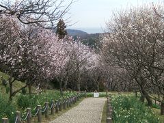 横須賀☆『田浦の梅の里』’09