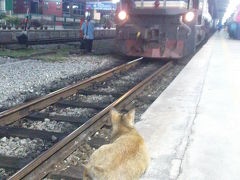 ジョホールバルちょっと街歩き　帰りはマレーシア鉄道で国境越え♪