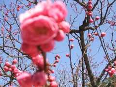 １泊２日　福岡＆長崎ハウステンボスの旅♪　その１