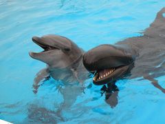 2009年3月沖縄　その２　美ら海水族館