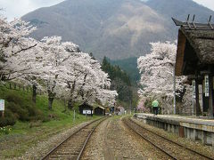 東北へ桜の追っかけ?　湯の上温泉駅