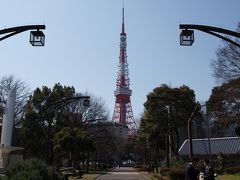 東京マラソンコース　春の日比谷公園から芝の増上寺へ