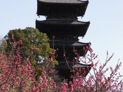 原チャでゴー第５５弾−梅は咲いたか，桜は…まだです　備中国分寺編−