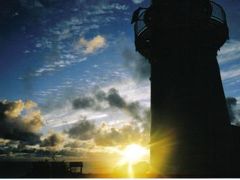 トムの冒険　～ニュージーランド・最東端編～