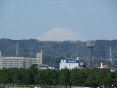 ２００９年３月　横浜八景島からの富士山とオカメザクラ