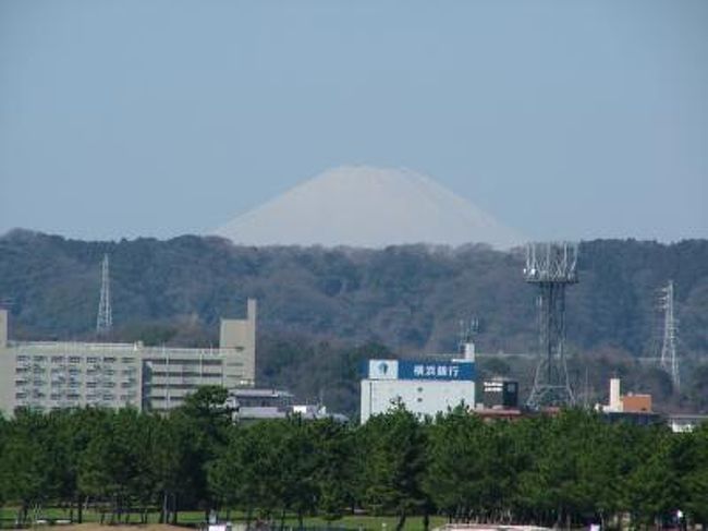 ２００９年３月 横浜八景島からの富士山とオカメザクラ 八景島 神奈川県 の旅行記 ブログ By ふらっとちょっとさん フォートラベル