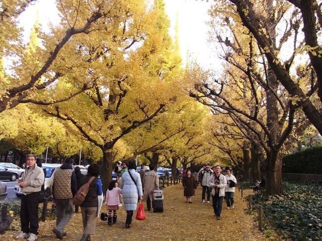 念願というか、待ちに待って狙いに狙った <br />神宮外苑のいちょう並木を見に行ってきましたぁー♪ <br />ちょうどいちょうのじゅうたんもできてて、<br />でも木にもまだまだ 黄色い葉っぱがついてる<br />ｼﾞｬｽﾄなﾀｲﾐﾝｸﾞｩｰでしたが、お陰ですごい人でしたわー(´Д｀υ) <br />ちょうどいちょう祭りなんぞが開催されてて世界各地の名産の<br />出店なんぞもあって 楽しめましたー!!<br />また来年行かねばっ！！来年は人の少ない早朝を狙いたいっ！！ <br /><br />そして花男ﾛｹ地ﾂｱｰになり外苑のいちょう並木の次は<br />もちろん恵比寿ｶﾞｰﾃﾞﾝﾌﾟﾚｲｽ☆<br />相変わらずｺﾞｰｼﾞｬｽはﾊﾞｶﾗのｼｬﾝﾃﾞﾘｱとｲﾙﾐﾈｰｼｮﾝｽﾃｷでしたぁ★