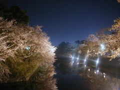 東北へ桜の追っかけ?−２