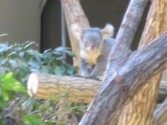 2009家族旅行　in名古屋2日目　東山動物園　