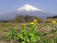 富士山麓一周ウォーク　スタート