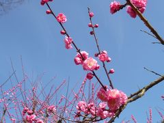 鞍が池公園に行って来ました