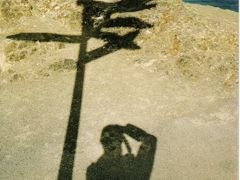 トムの冒険　～ニュージランド・最北端編～